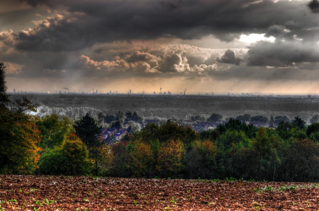 View To Cologne