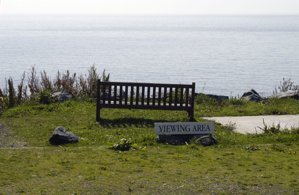 Viewing Area