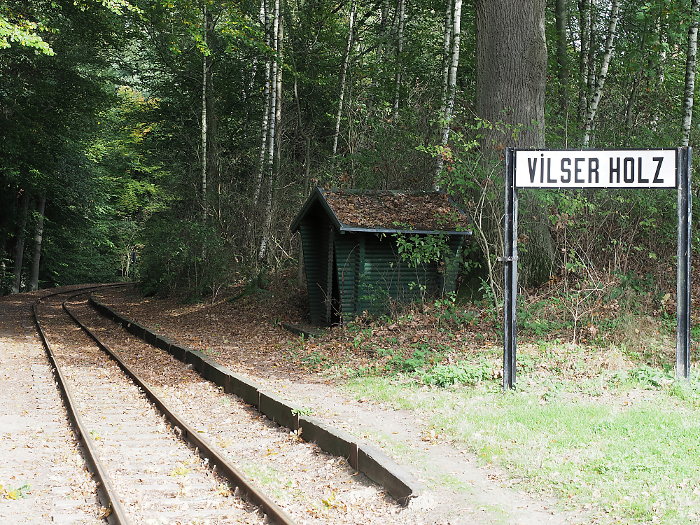 Vilser Holz.jpg