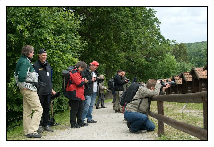 ViolaBrandt 20090605 0075