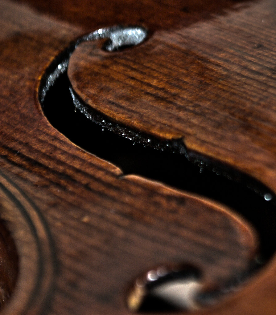 violin