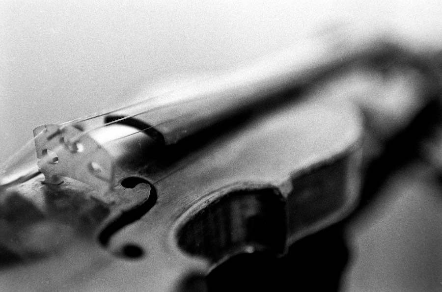 Violine