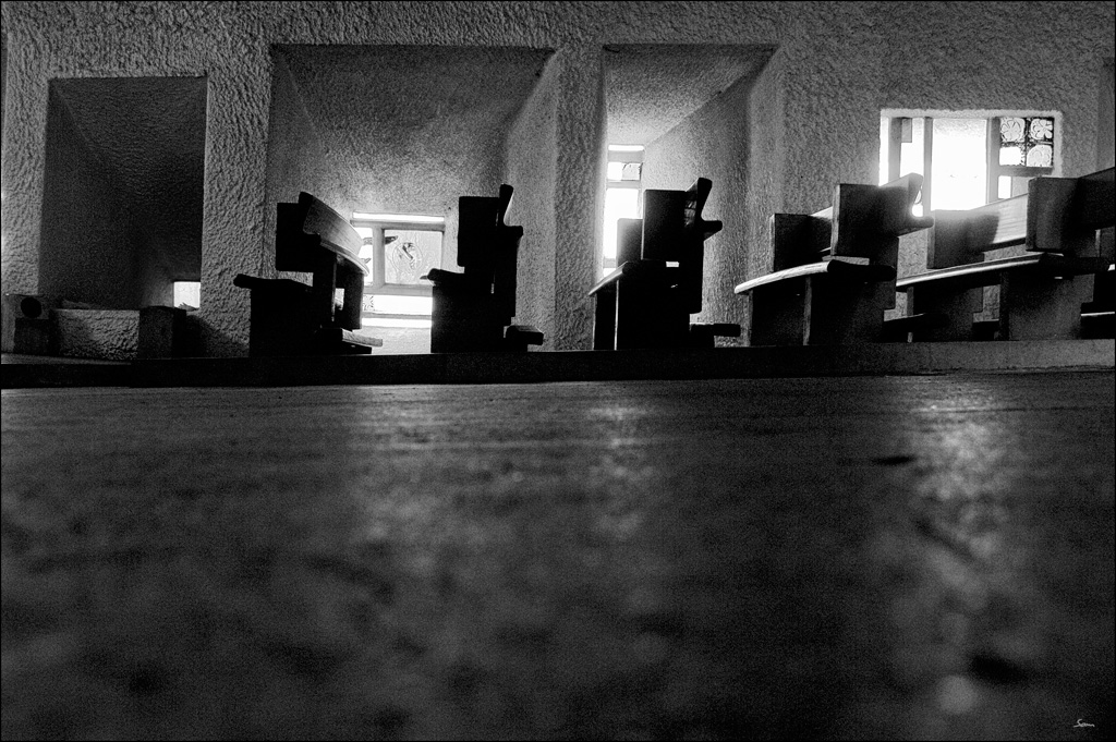 vogDSC 0024