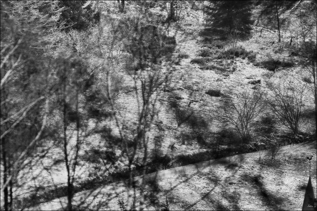 vogDSC 0179