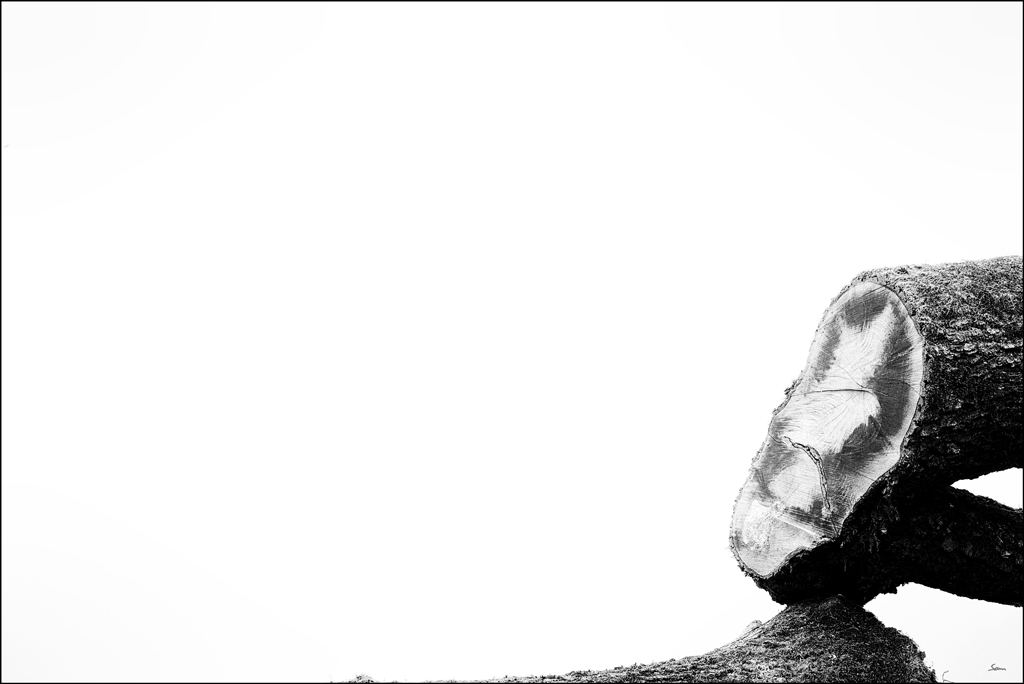 vogDSC 0910