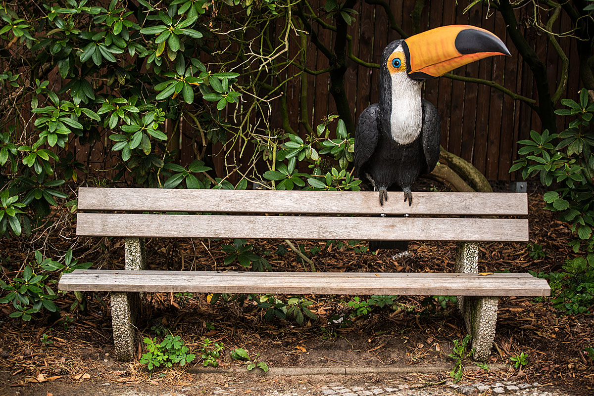 Vogelbank 1