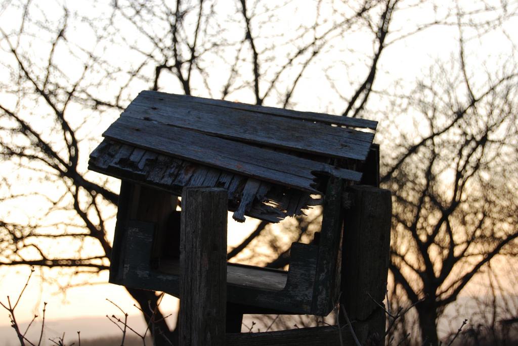 Vogelhaus in der Dämmerung