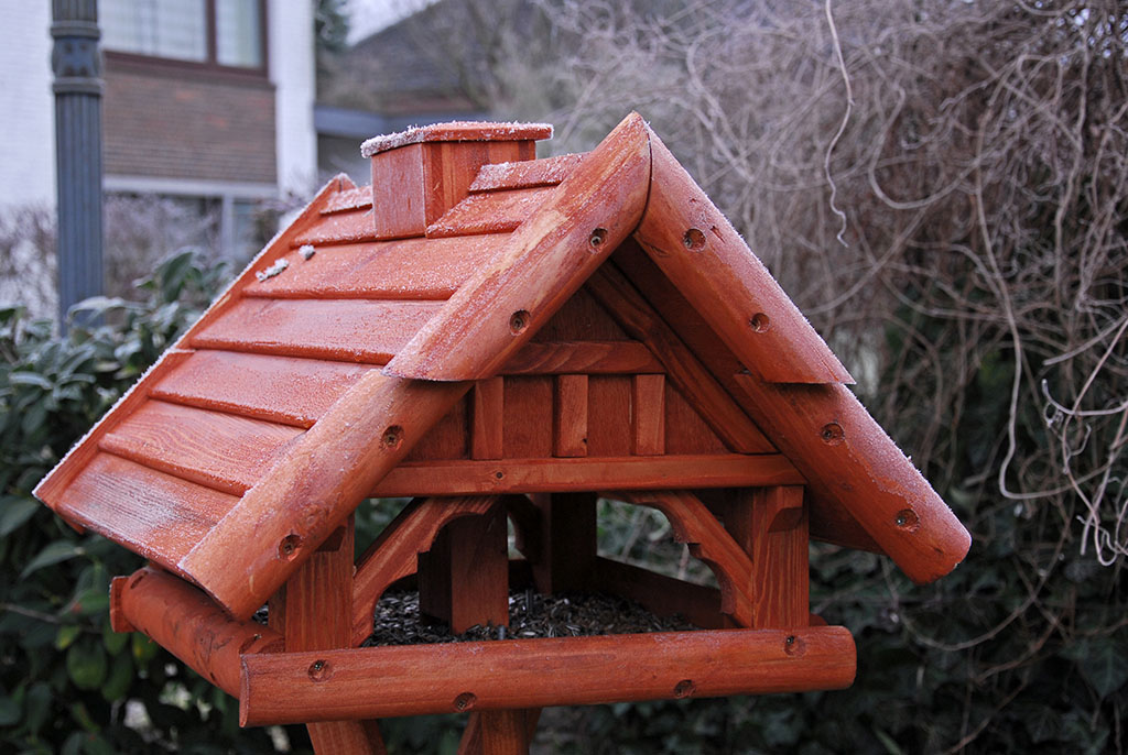 VogelhausNeuIn