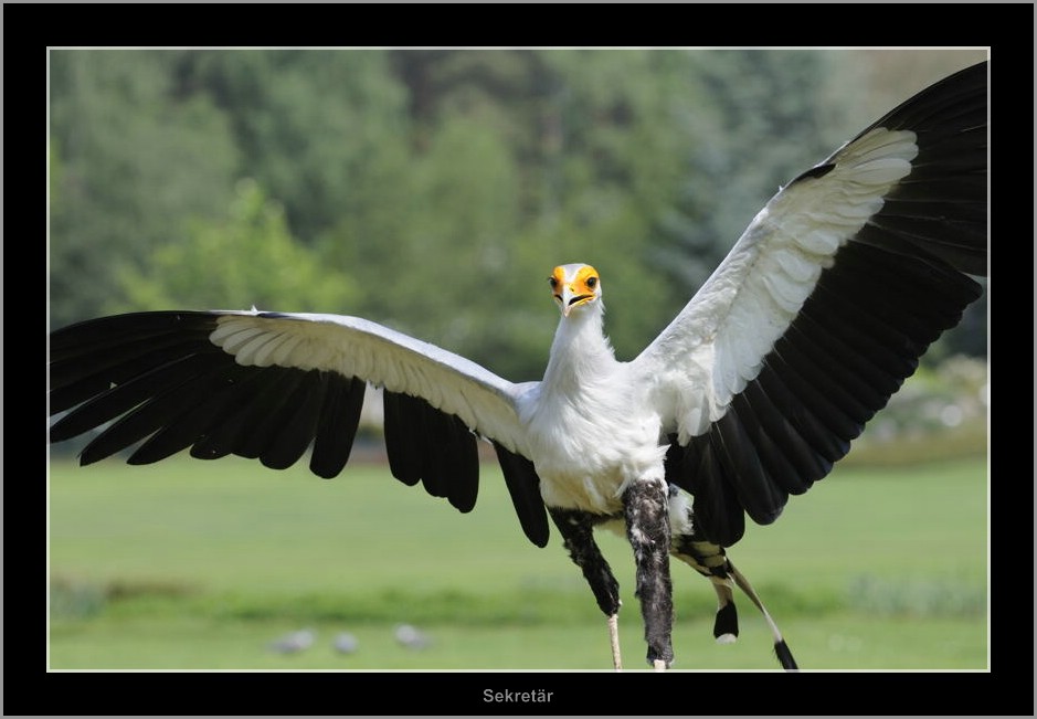Vogelpark 10