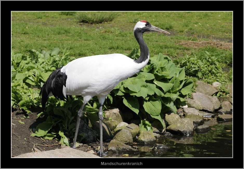 Vogelpark 12