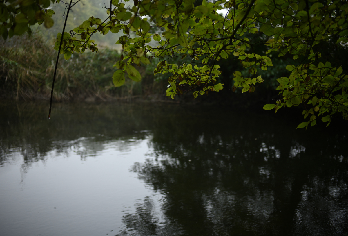 Voigt.40 f2,5.jpg