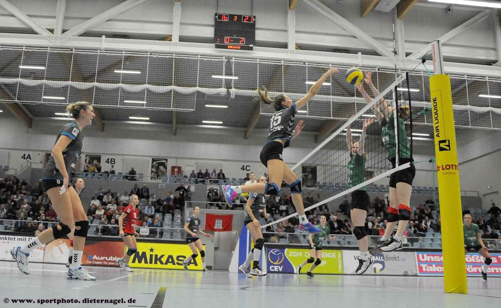 Volleyball_Bundesliga_30.11.2013_VTAurubisHamburg_vs_USCMuenster_JenniferPettke