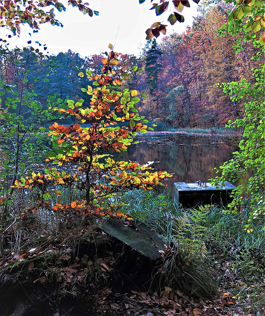 Von der Natur gescmückt.jpg