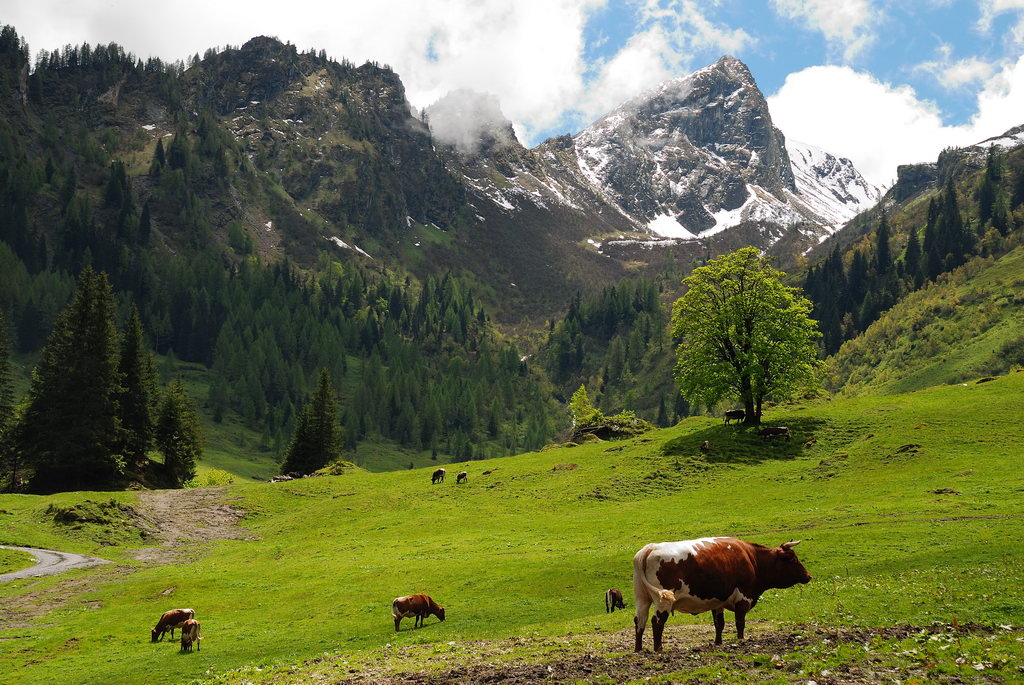 Von der Paulshütte im Großarltal aus aufgenommen