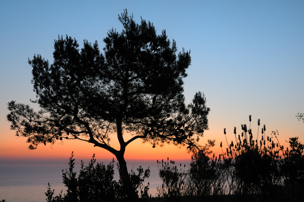 vor Sonnenaufgang an Spanischer Klippe