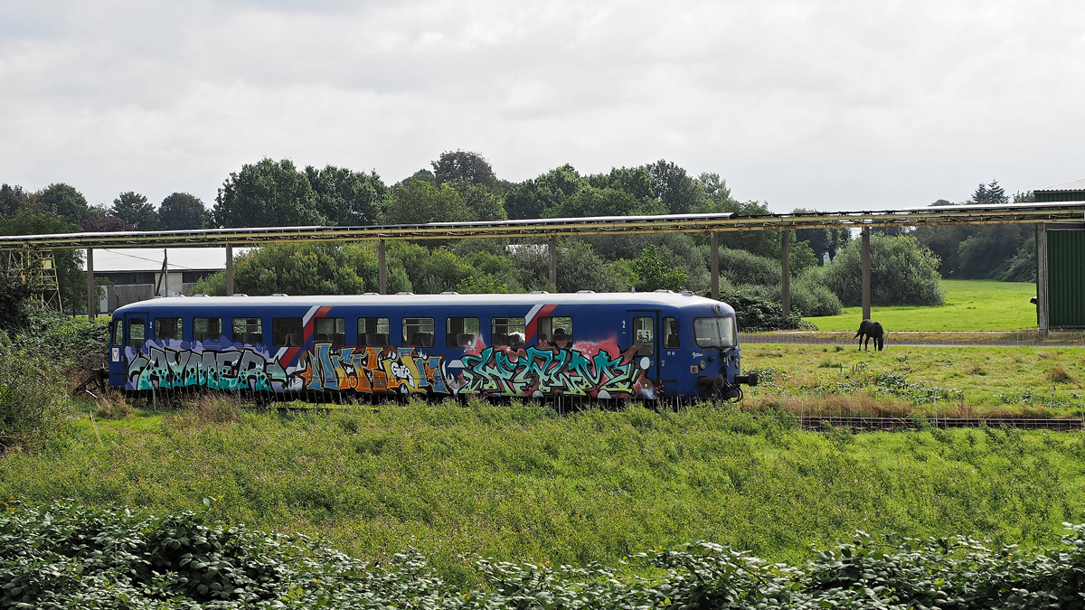 VT 41, Zittau