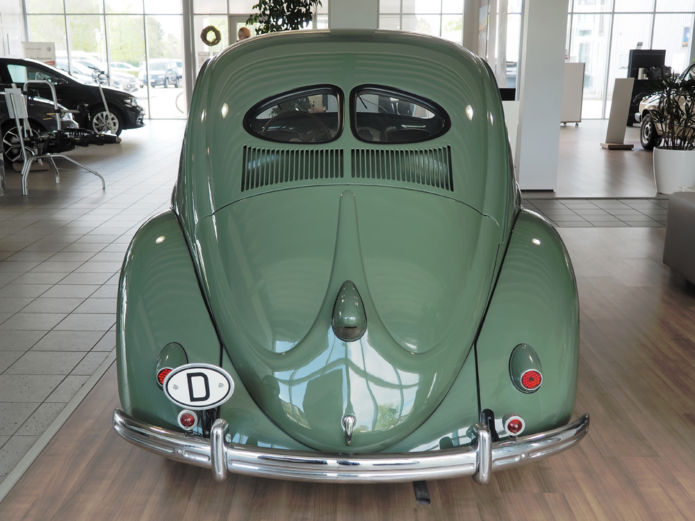 VW Käfer Brezelfenster Heck.jpg