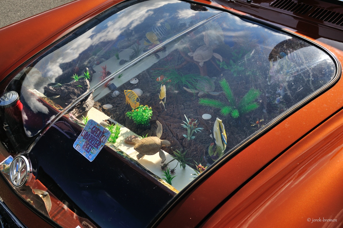 VW Typ 3 "Great Barrier Reef"