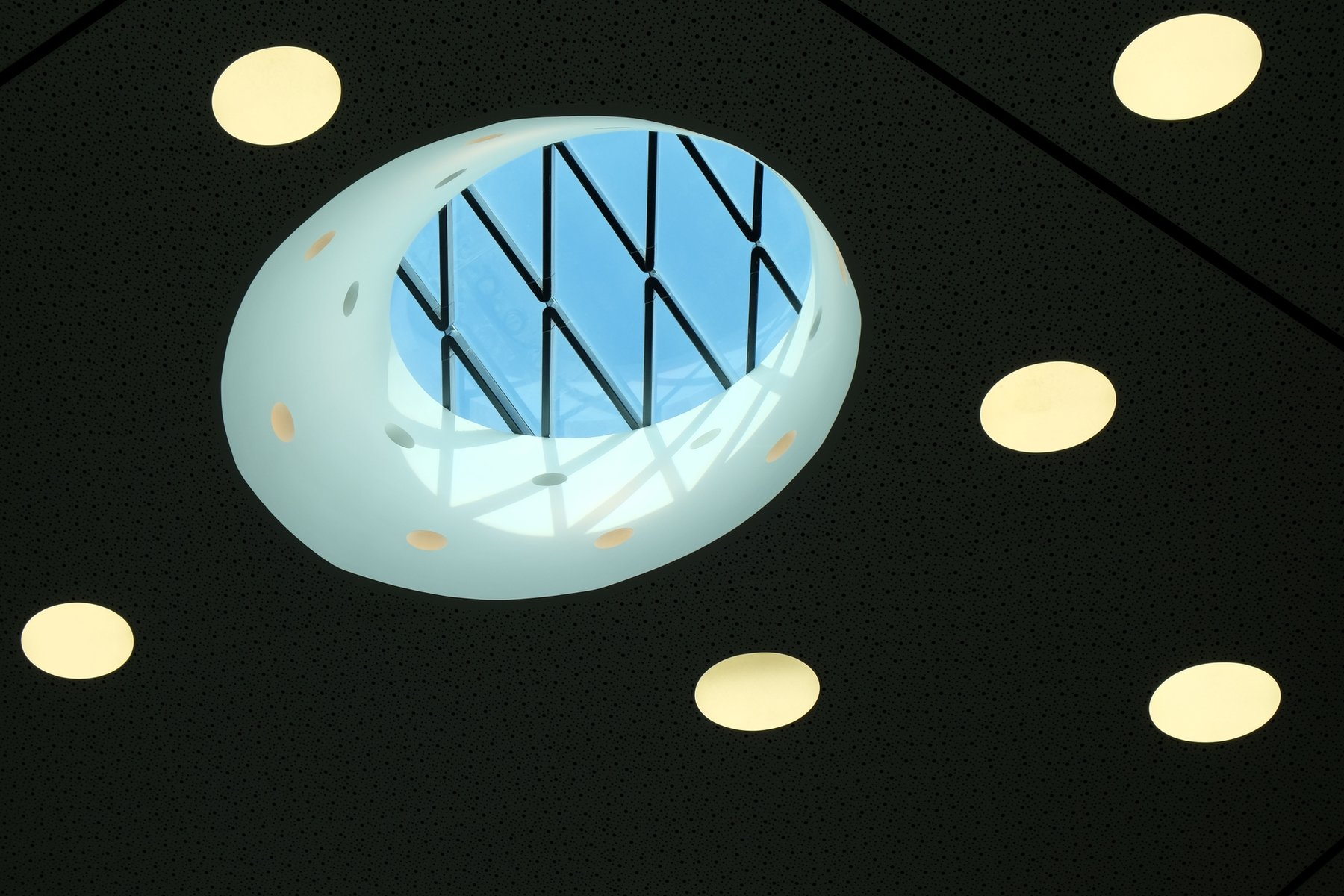 W2022-4x_DSCF3685.jpg