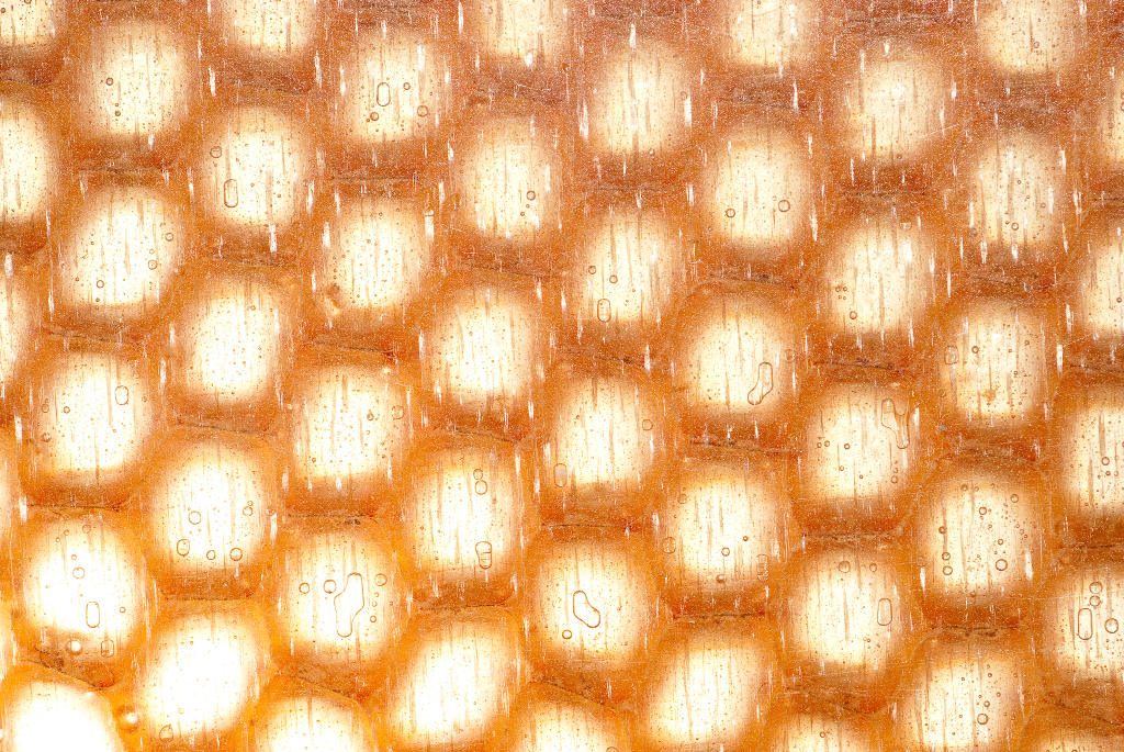 Wabenstrucktur 01