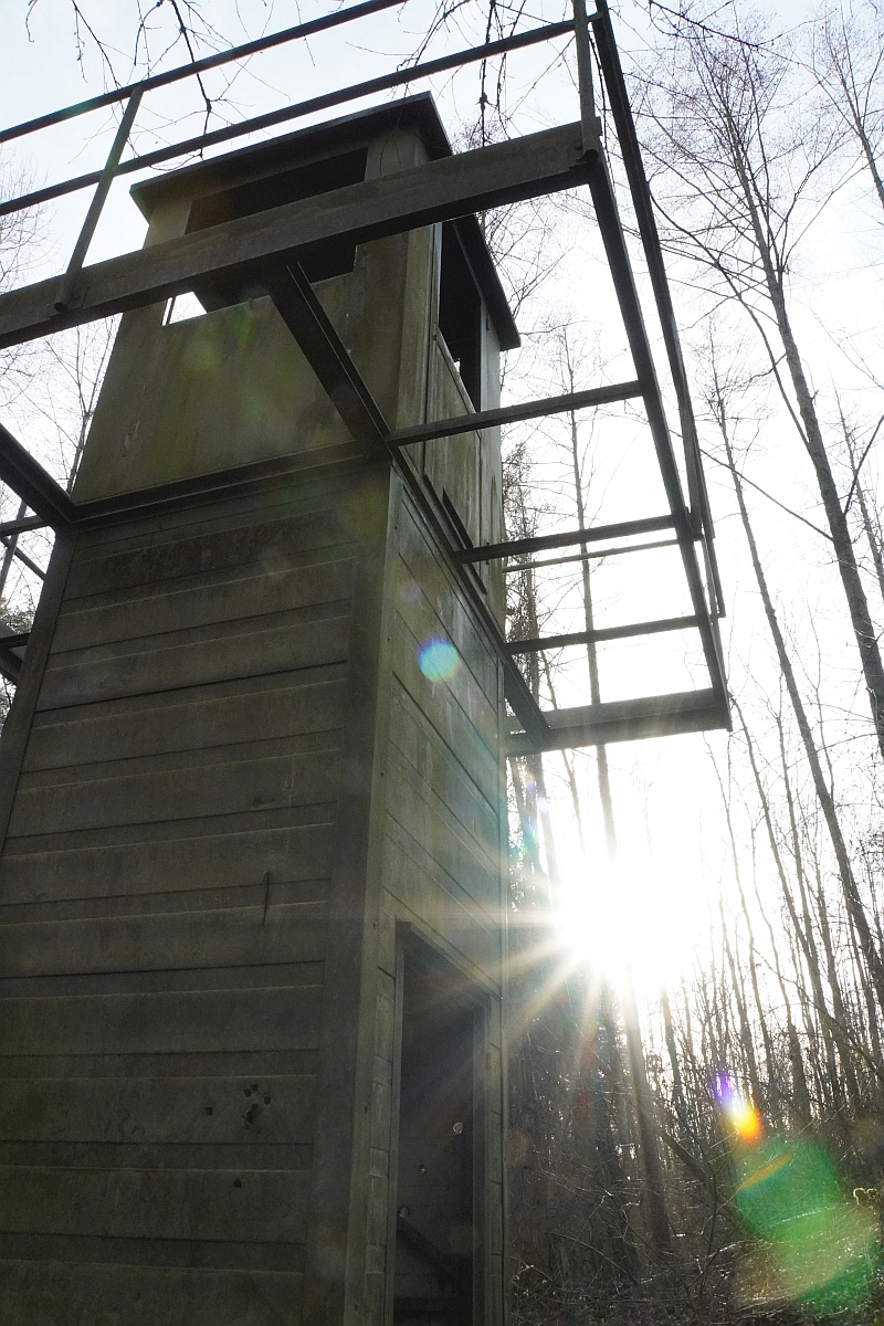 Wachturm_Waldheide 2.jpg