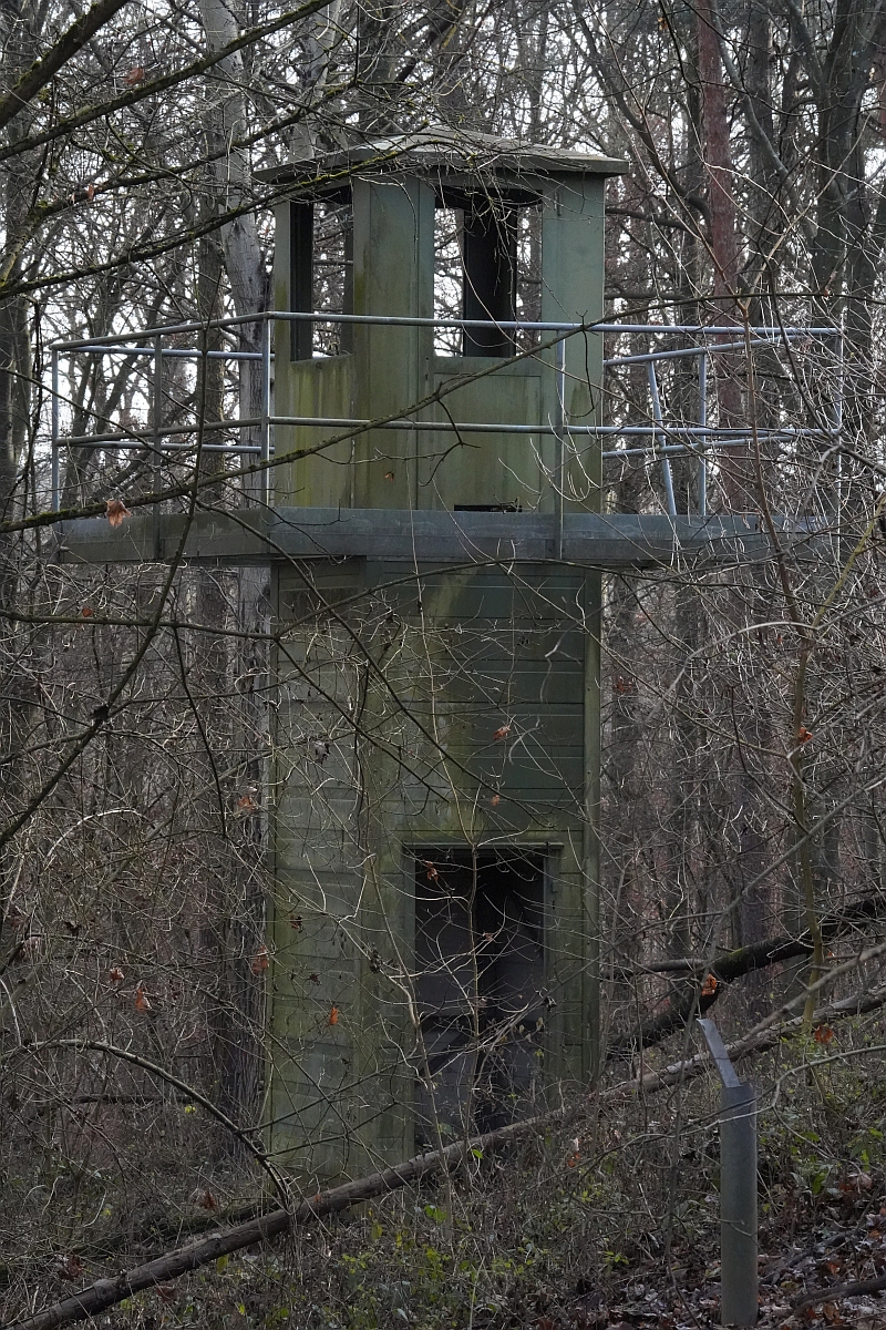 Wachturm_Waldheide.jpg