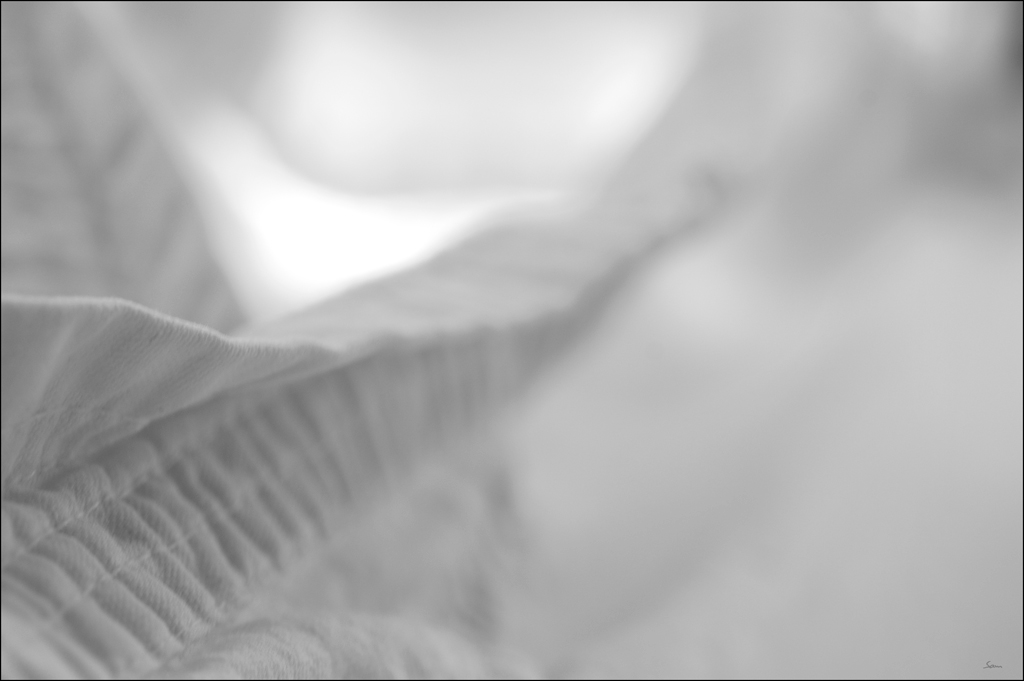 WaescheDSC 0060