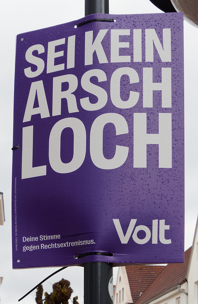 Wahlwerbung Volt.jpg