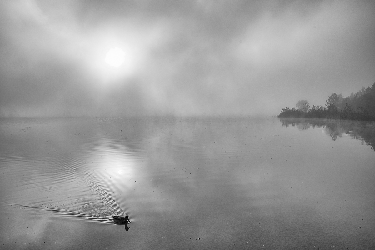 Walchsee-Lofer-Aschau-7199-Bearbeitet.jpg