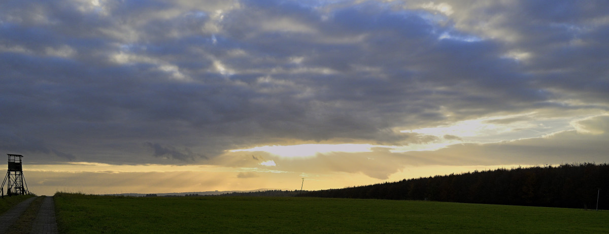 wald21013.JPG