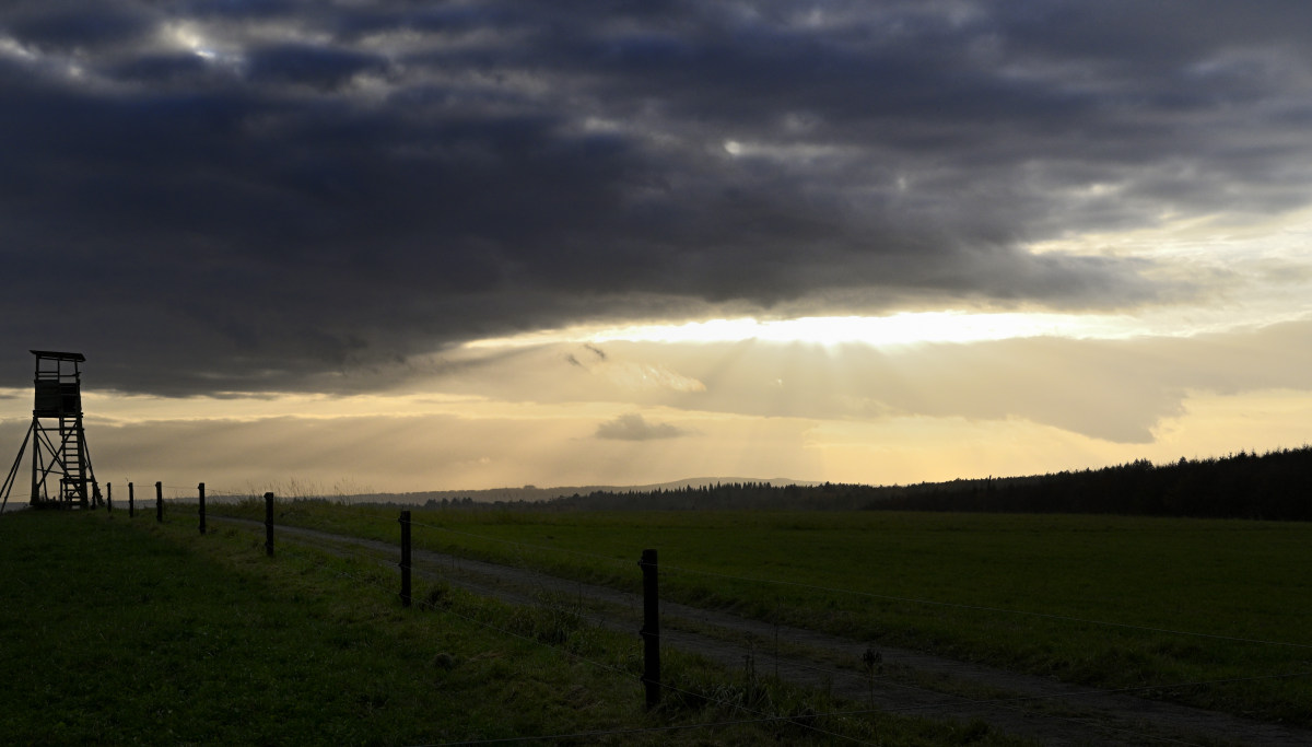 wald21015.JPG