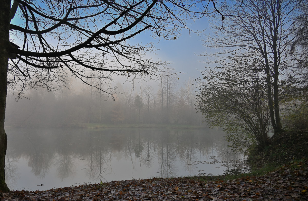 wald21017.JPG
