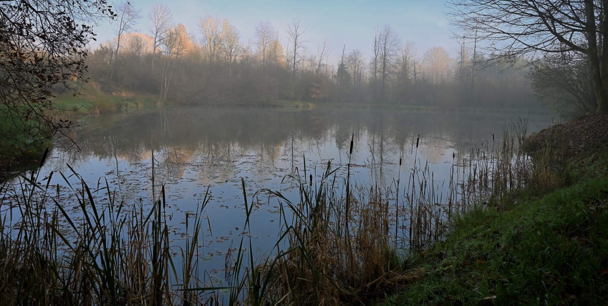 wald21019.JPG