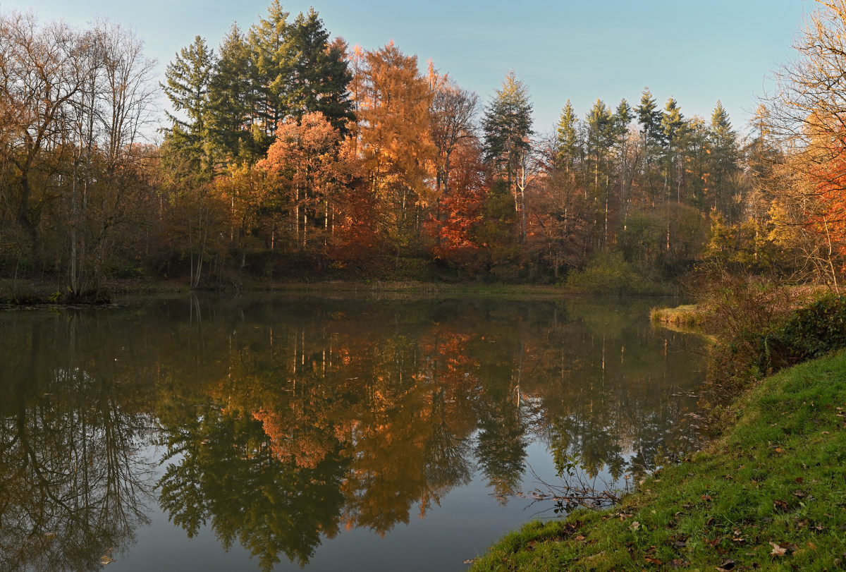wald21020.JPG