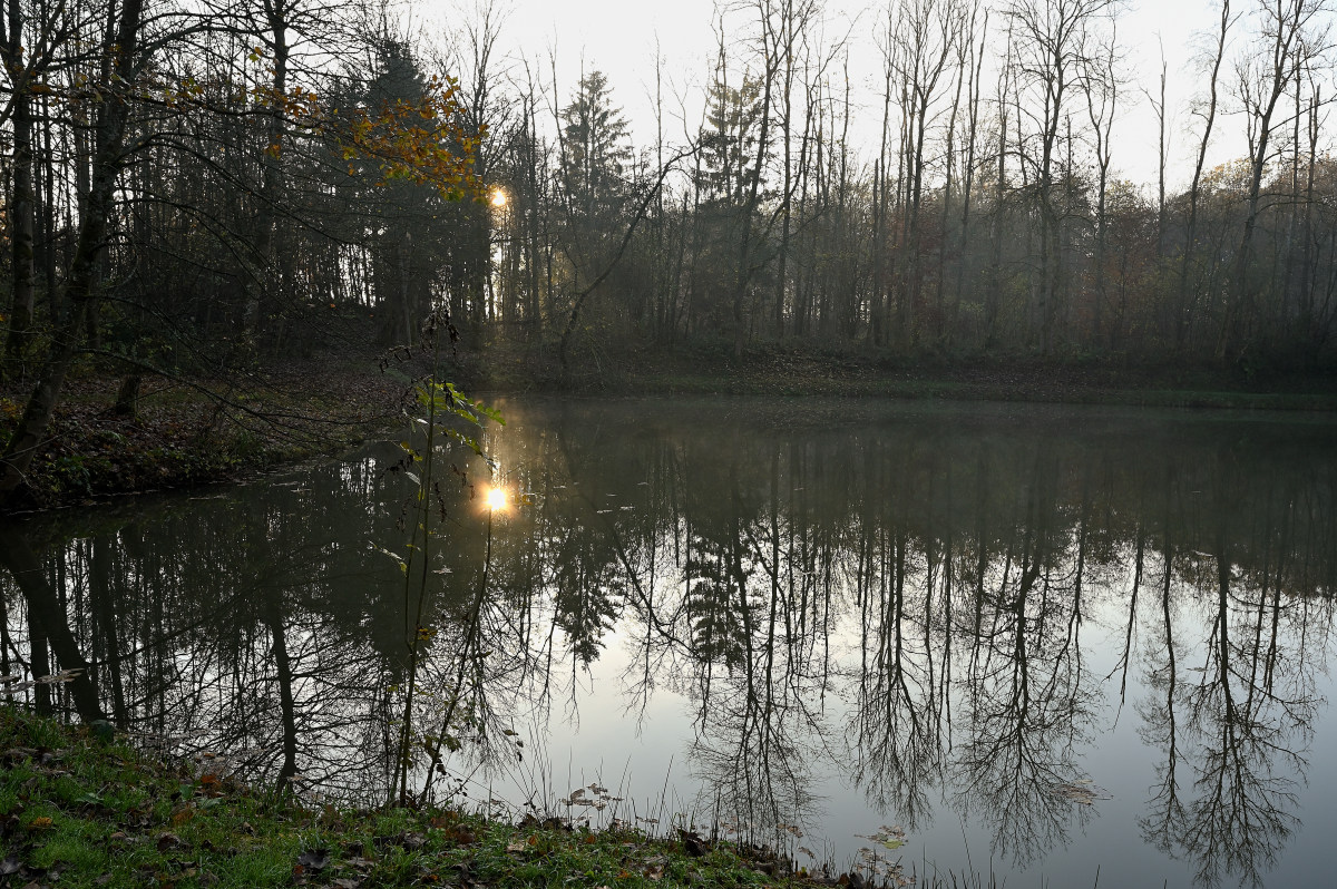 wald21021.JPG