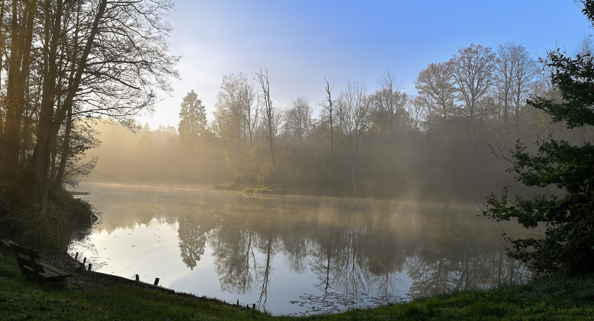 wald21023.JPG