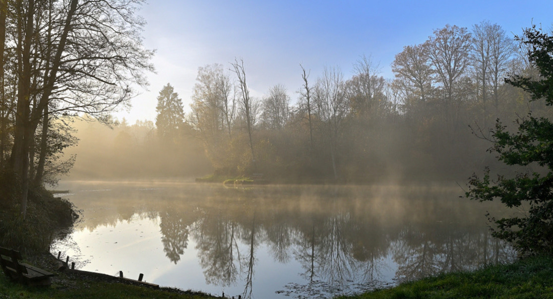 wald21027.JPG