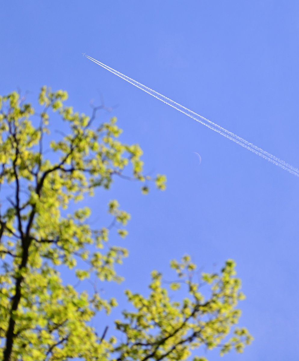 Wald_7.jpg