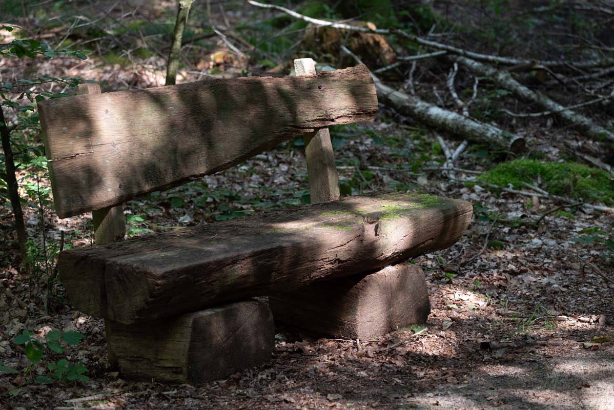 Waldbank mit Licht und Schatten.jpg