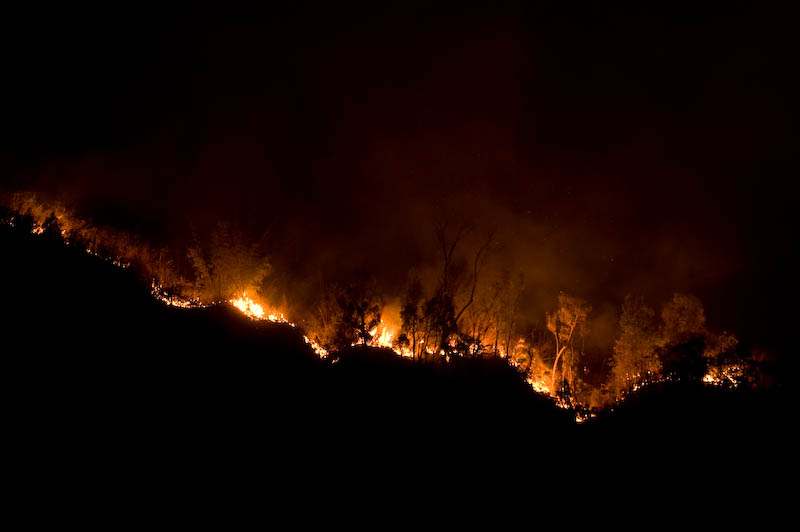 waldbrand
