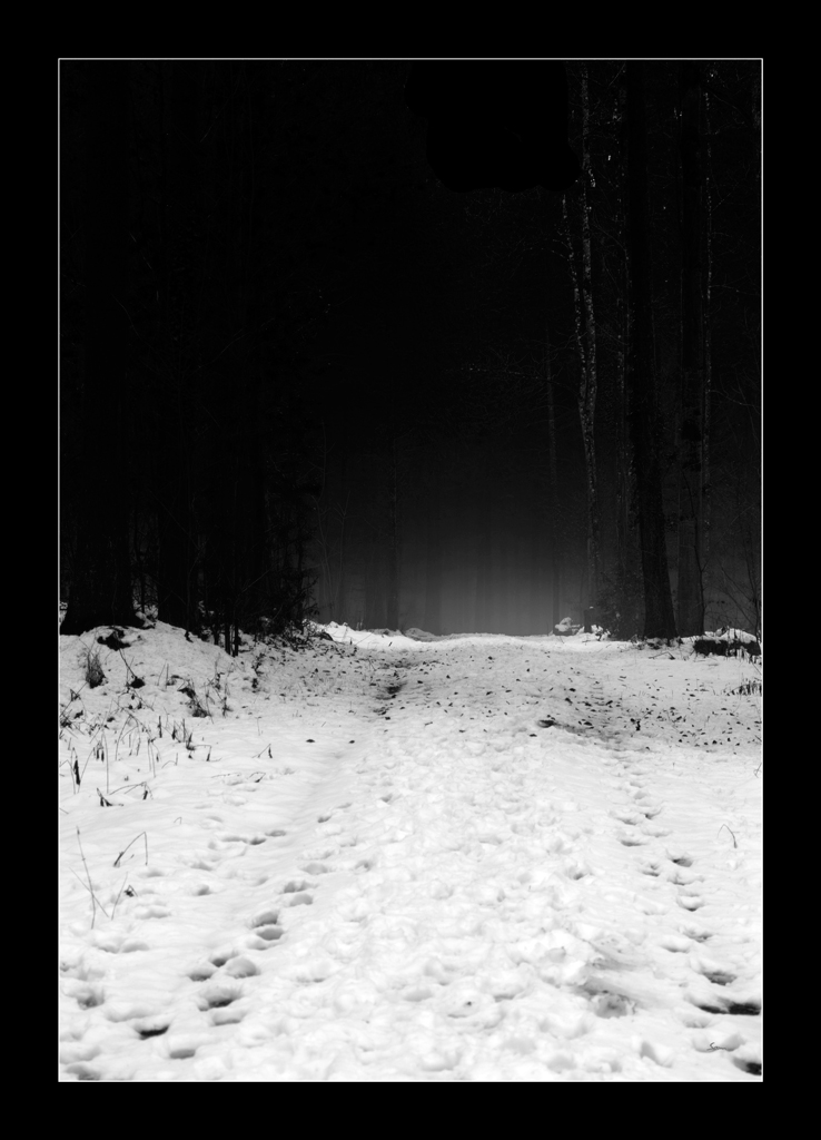 WaldDSC 0077