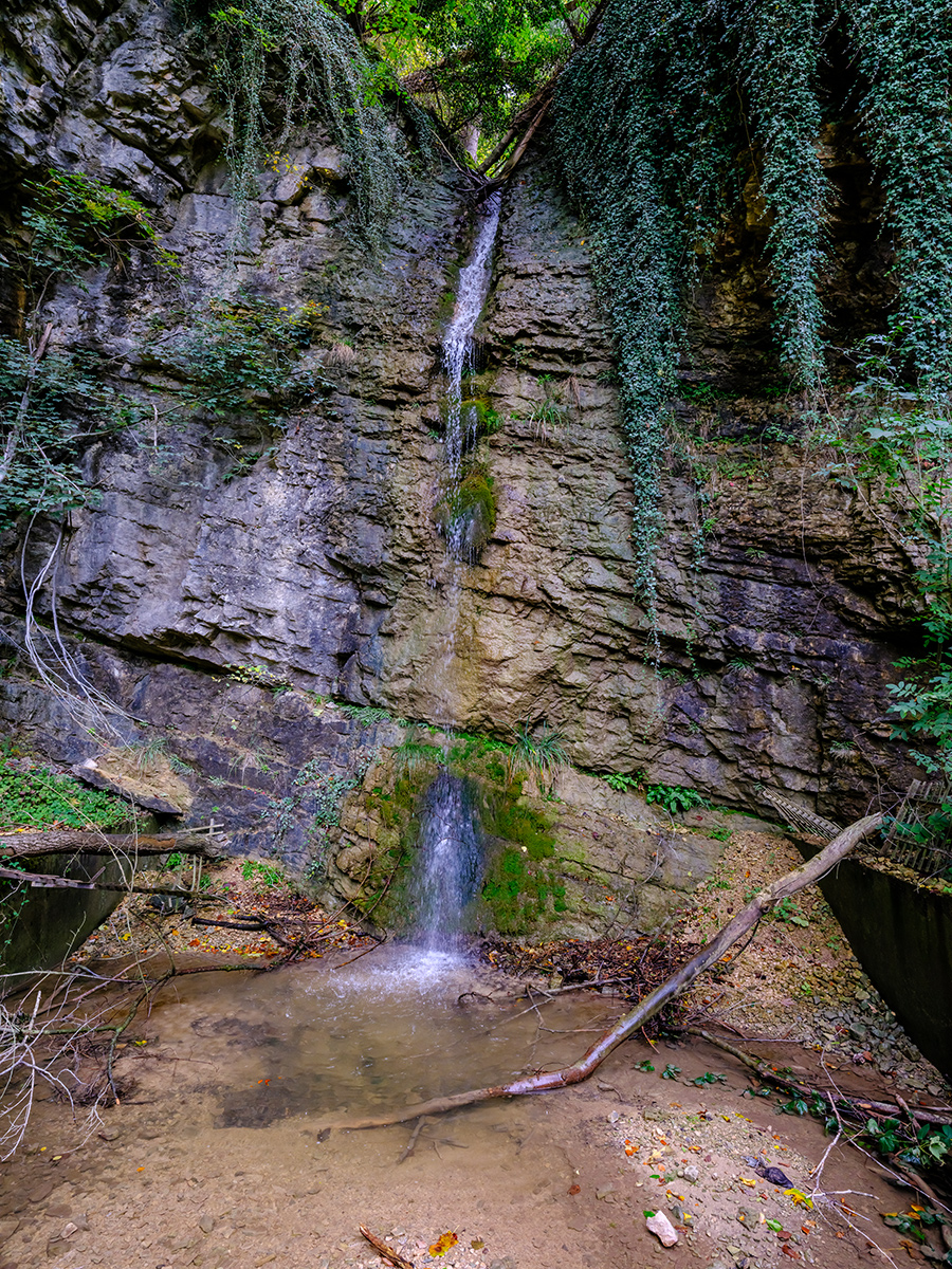 Waldenburg_FUJ0772_12.jpg