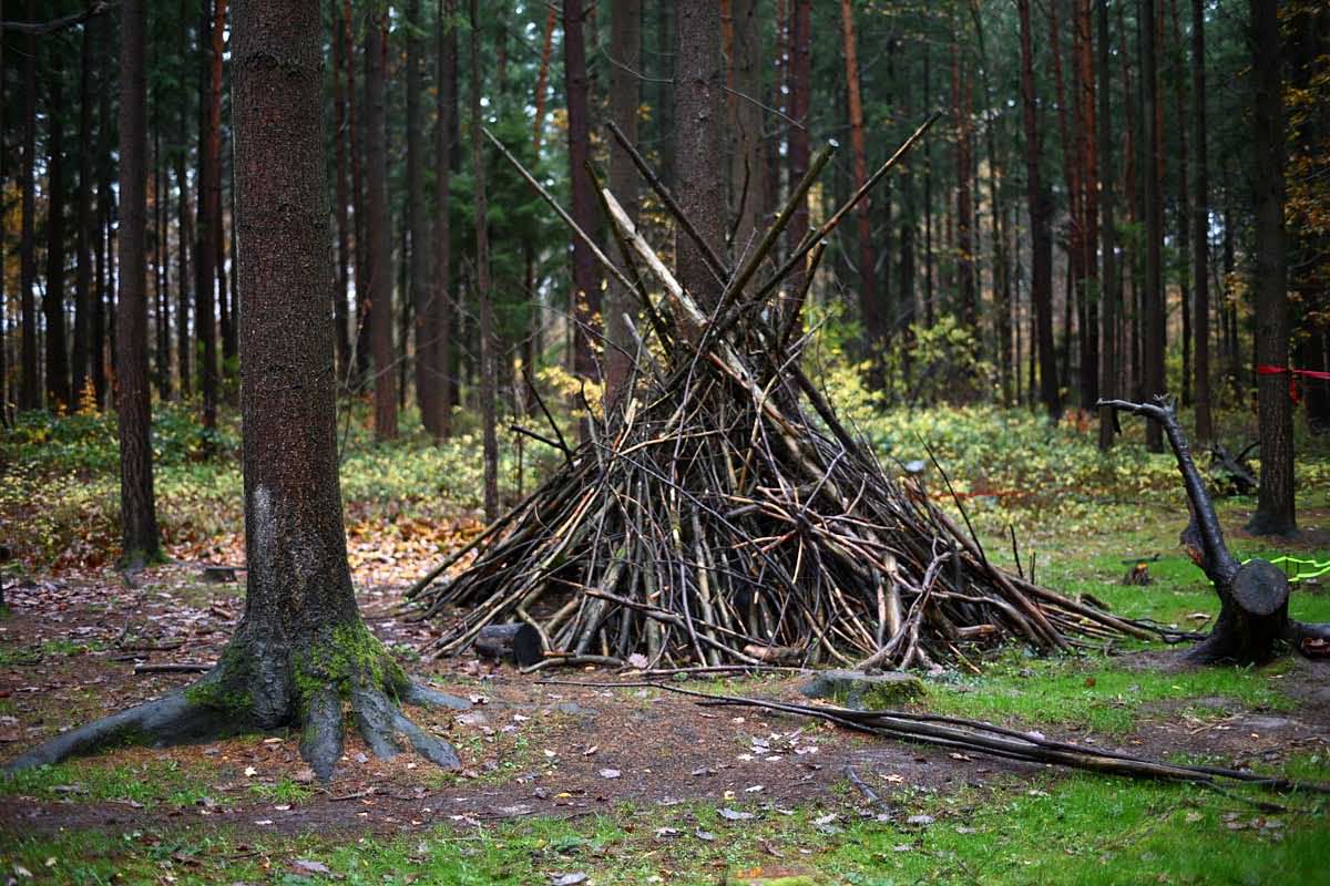 Waldkindergarten 2.jpg