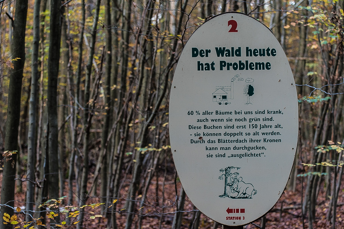Waldlehrpfad Schooten 1 (1 von 1).JPG