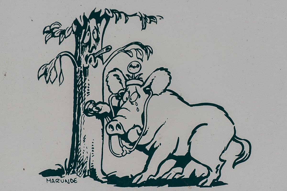 Waldlehrpfad Schooten 2 (1 von 1).JPG