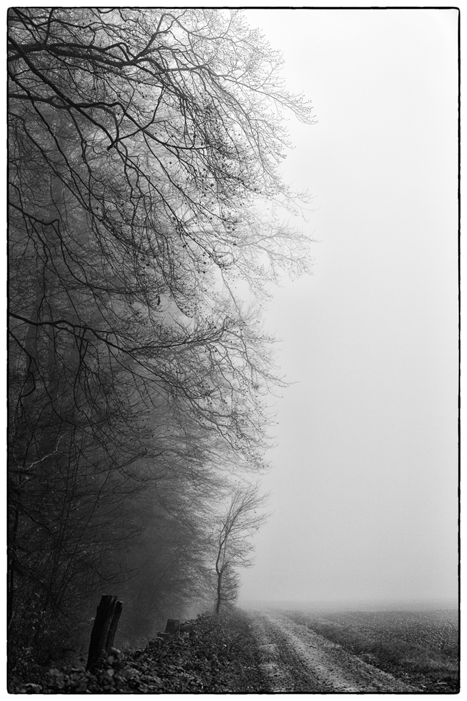 WaldPZ1 4108