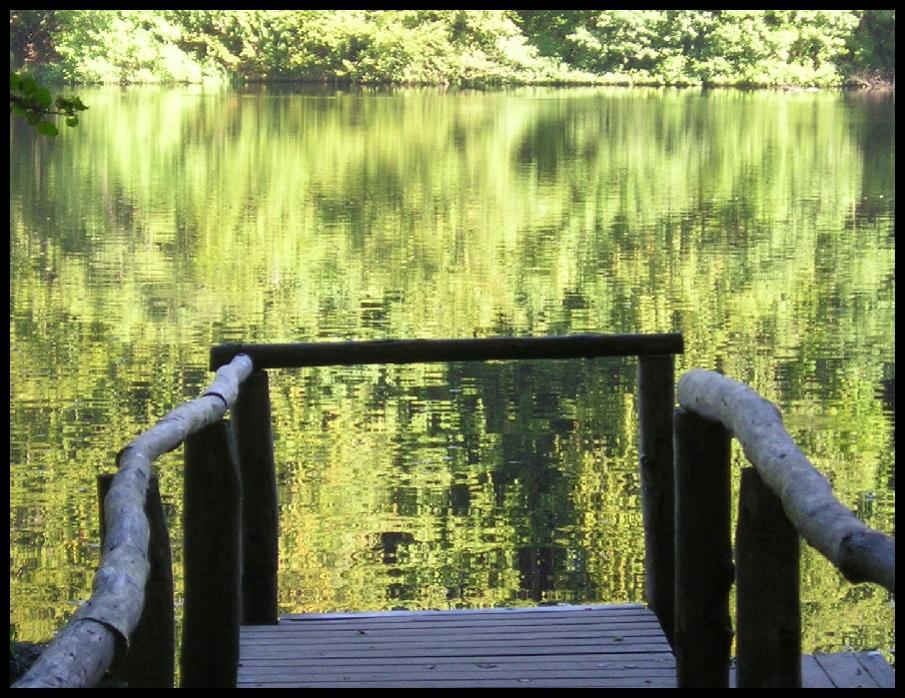 Waldsee1