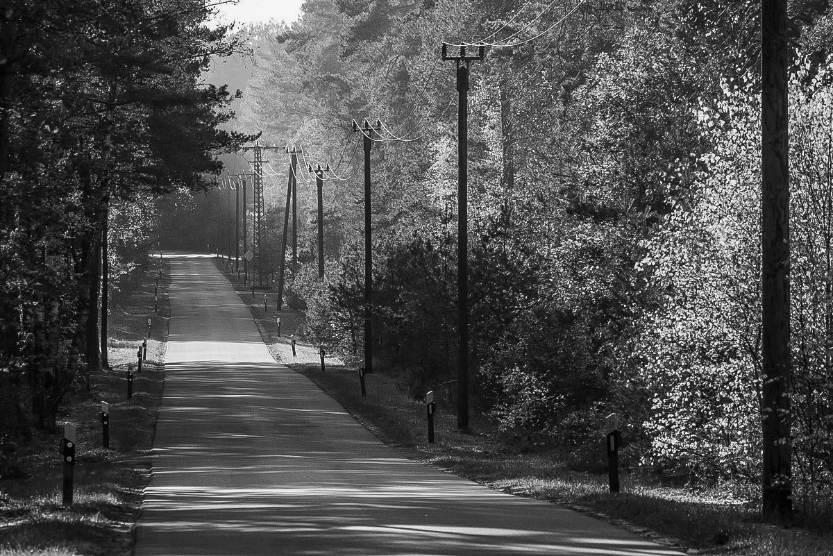 Waldstrasse (1 von 1).JPG