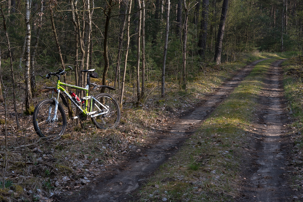 Waldweg 2 (1 von 1).JPG