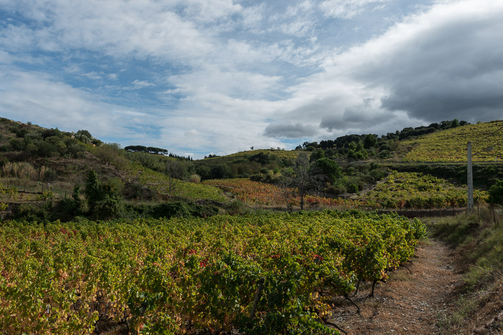 Wandern nach Collioure 002